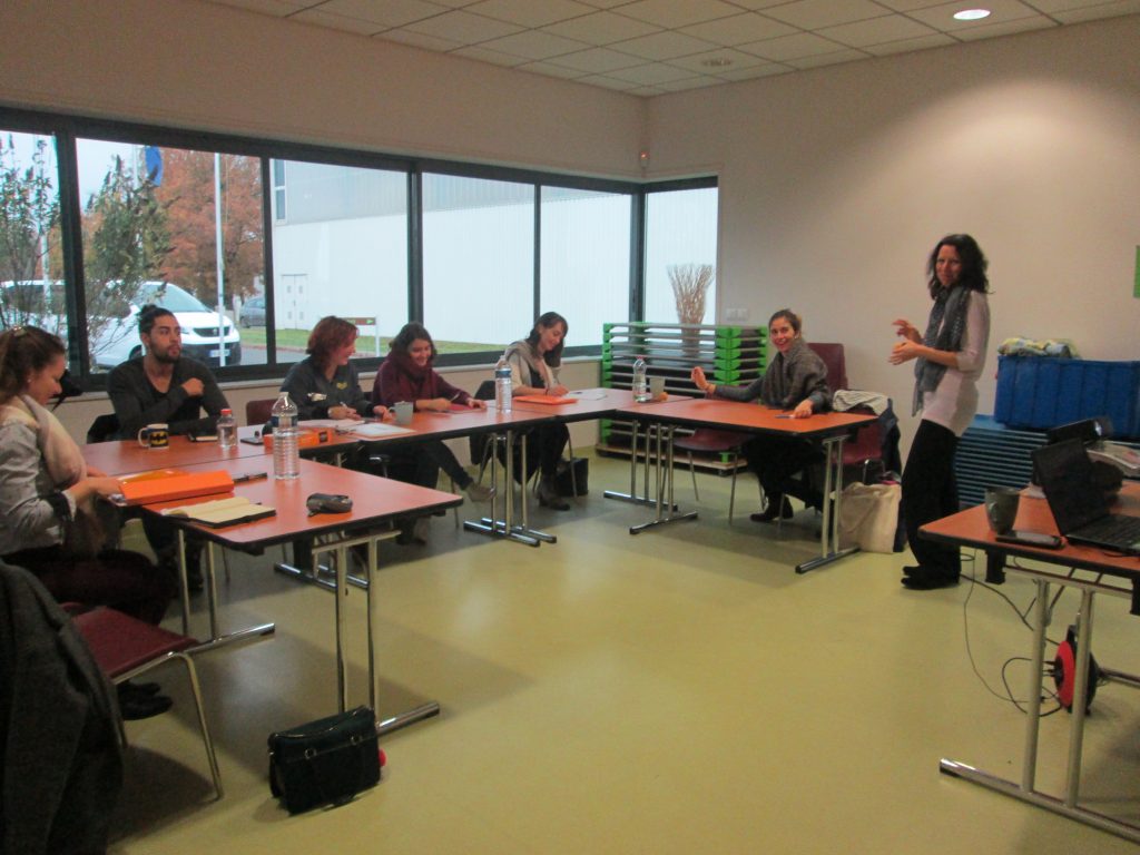 L'analyse des pratiques professionnelles avec Carol Ricaud, près de Rennes , Fougères et Avranches.