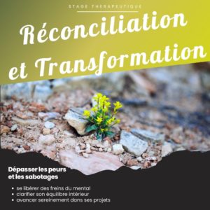 transformation et reconciliation Carol Ricaud