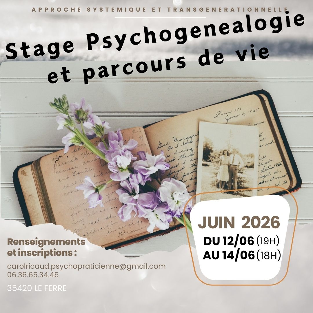 Stage Psychogenealogie Transgenerationnel et systemie