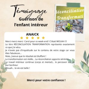 Temoignage Stage Carol Ricaud Transformation reconciliation 2