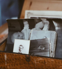 psychogénéalogie carol ricaud génogramme